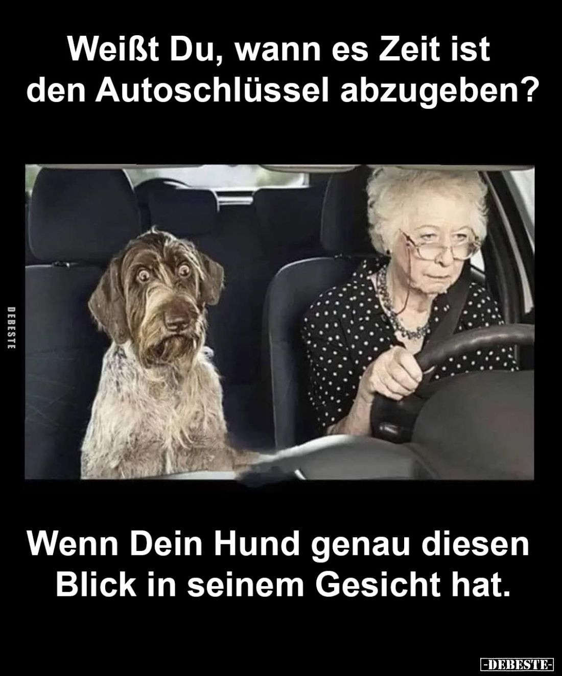 Weißt Du, wann es Zeit ist den Autoschlüssel abzugeben?
Wenn Dein Hund genau diesen Blick in seinem Gesicht hat.