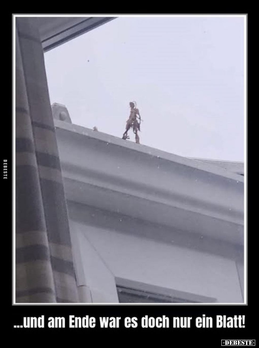 ...und am Ende war es doch nur ein Blatt!