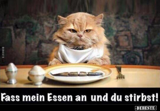 Fass mein Essen an und du stirbst!.. - Lustige Bilder | DEBESTE.de