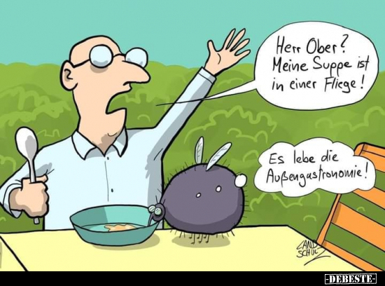 Herr Ober? Meine Suppe ist in einer Fliege!.. - Lustige Bilder | DEBESTE.de