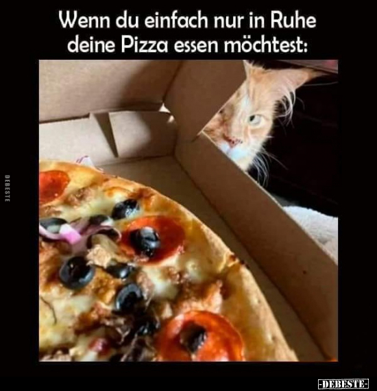 Wenn du einfach nur in Ruhe deine Pizza essen möchtest.. - Lustige Bilder | DEBESTE.de