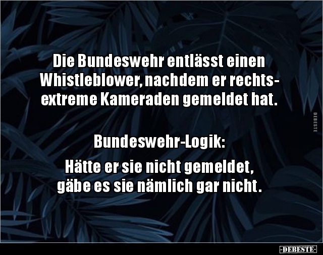 Die Bundeswehr entlässt einen Whistleblower, nachdem er.. - Lustige Bilder | DEBESTE.de