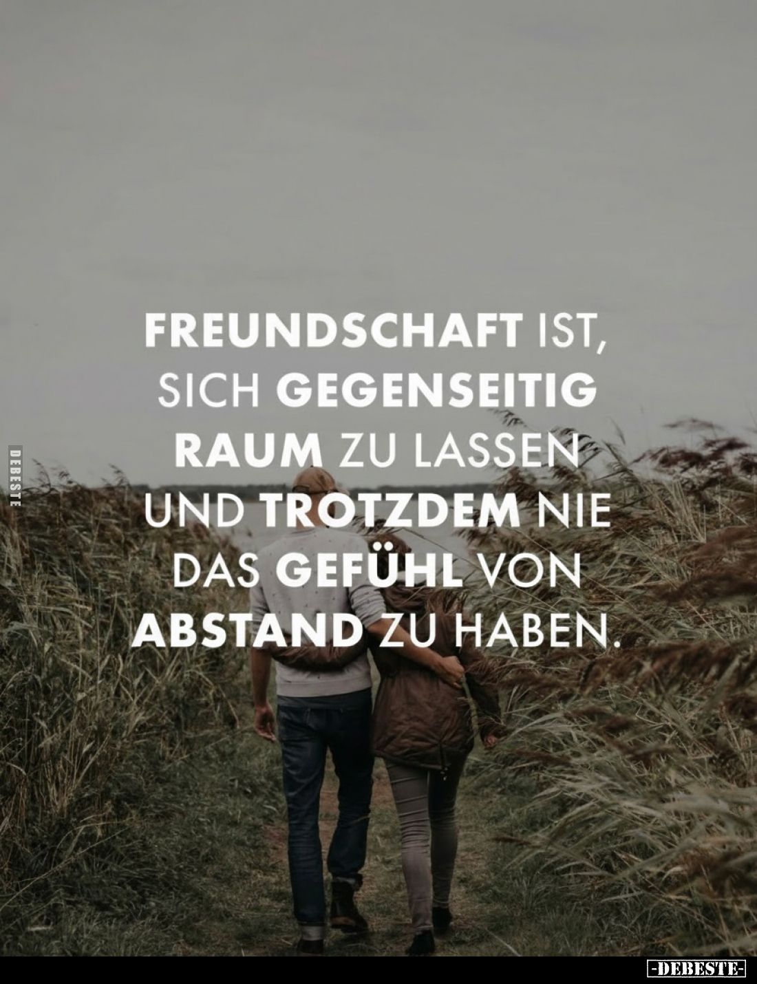 Freundschaft ist, sich gegenseitig Raum zu lassen und trotzdem nie das Gefühl von Abstand zu haben.
