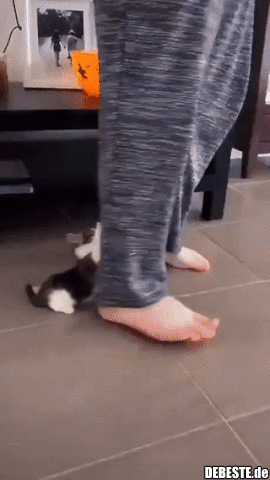 Verlass mich nicht...