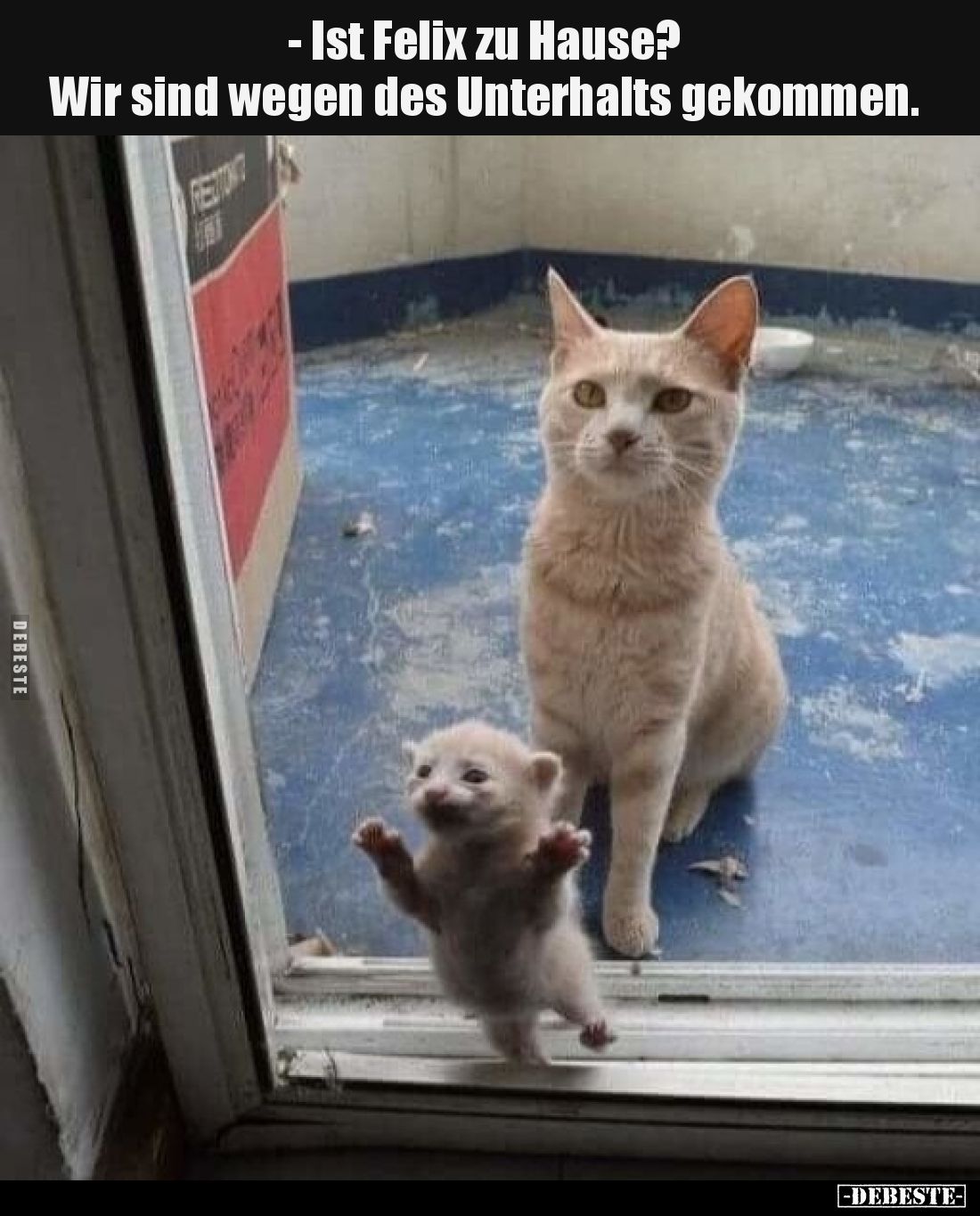 -Ist Felix zu Hause? Wir sind wegen des Unterhalts gekommen.