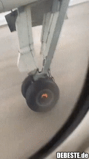 2 Wochen nach Covid wenn du endlich wieder richtig in Urlaub willst...