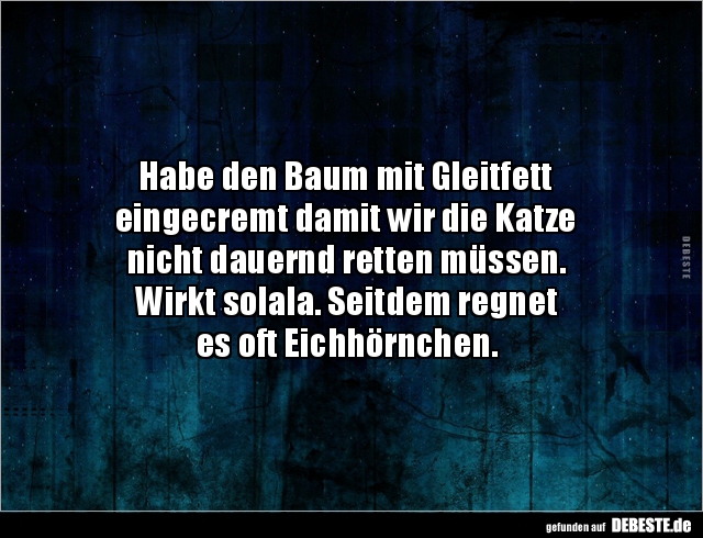 Habe den Baum mit Gleitfett
eingecremt damit wir die Katze
nicht dauernd retten müssen.
Wirkt solala. Seitdem regnet
e...