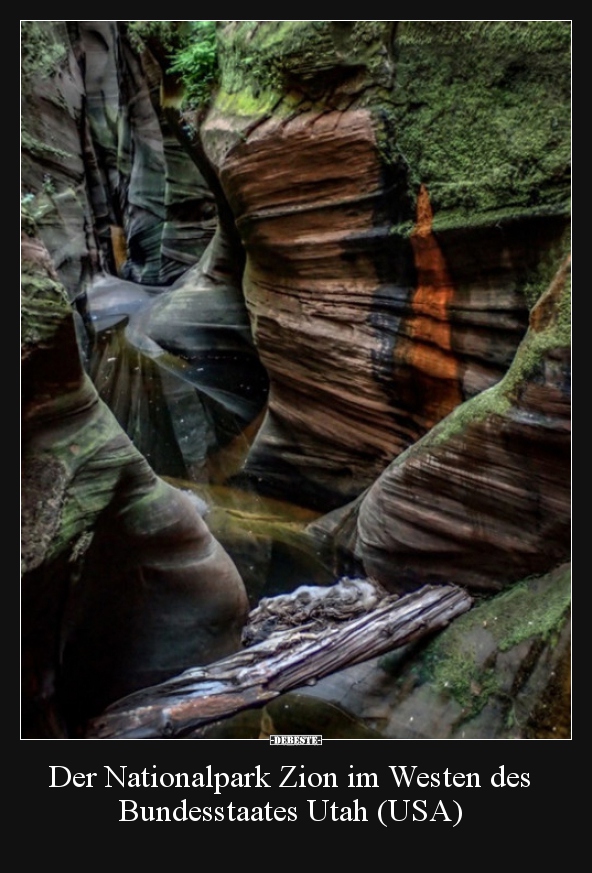 Der Nationalpark Zion im Westen des Bundesstaates Utah.. - Lustige Bilder | DEBESTE.de