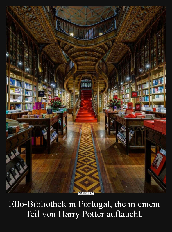 Ello-Bibliothek in Portugal, die in einem Teil von Harry.. - Lustige Bilder | DEBESTE.de