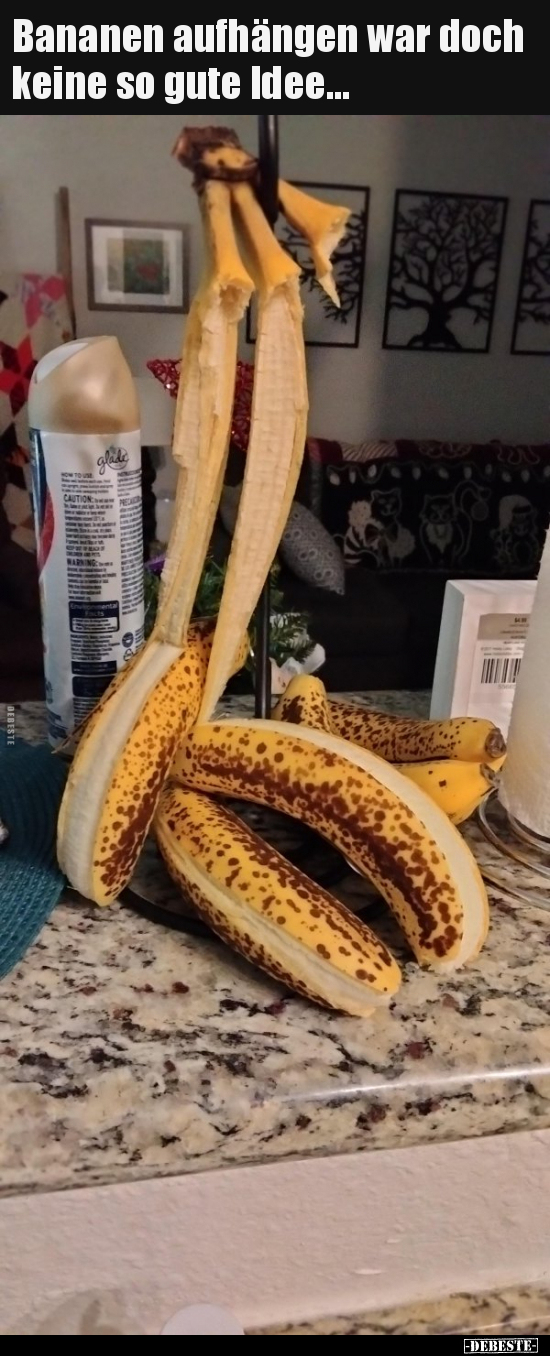 Bananen aufhängen war doch keine so gute Idee... - Lustige Bilder | DEBESTE.de