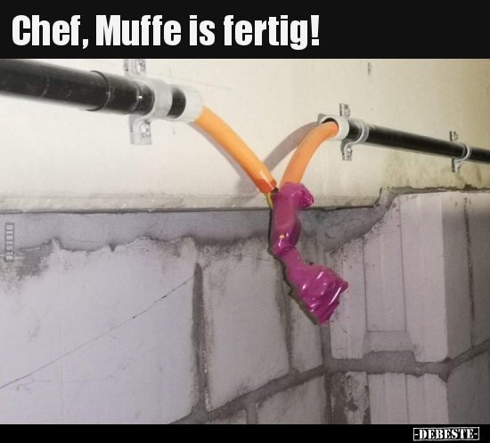 Chef, Muffe is fertig!.. - Lustige Bilder | DEBESTE.de