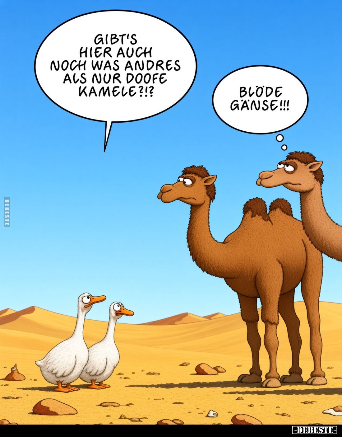Gibt's hier auch noch was andres als nur doofe Kamele?!?
Blöde Gänse!!!