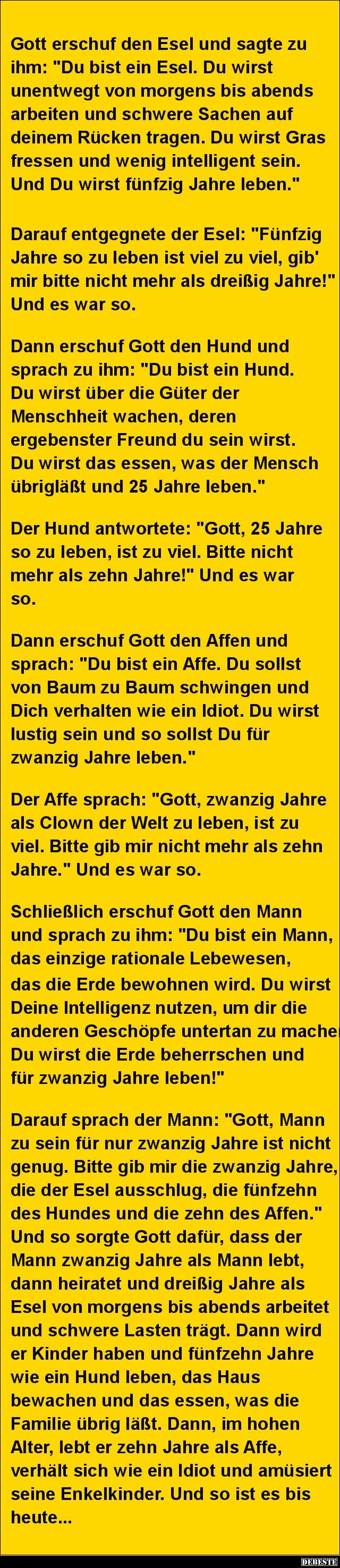 Gott erschuf den Esel und sagte zu ihm.. - Lustige Bilder | DEBESTE.de