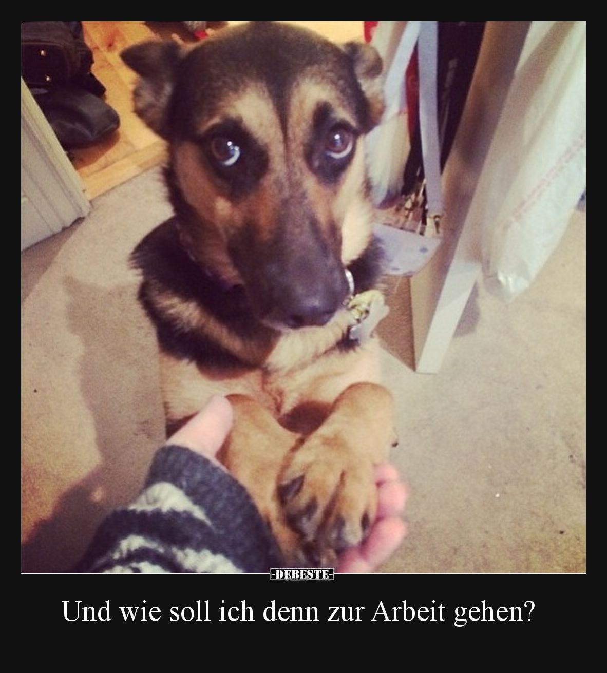 Und wie soll ich denn zur Arbeit gehen?.. - Lustige Bilder | DEBESTE.de