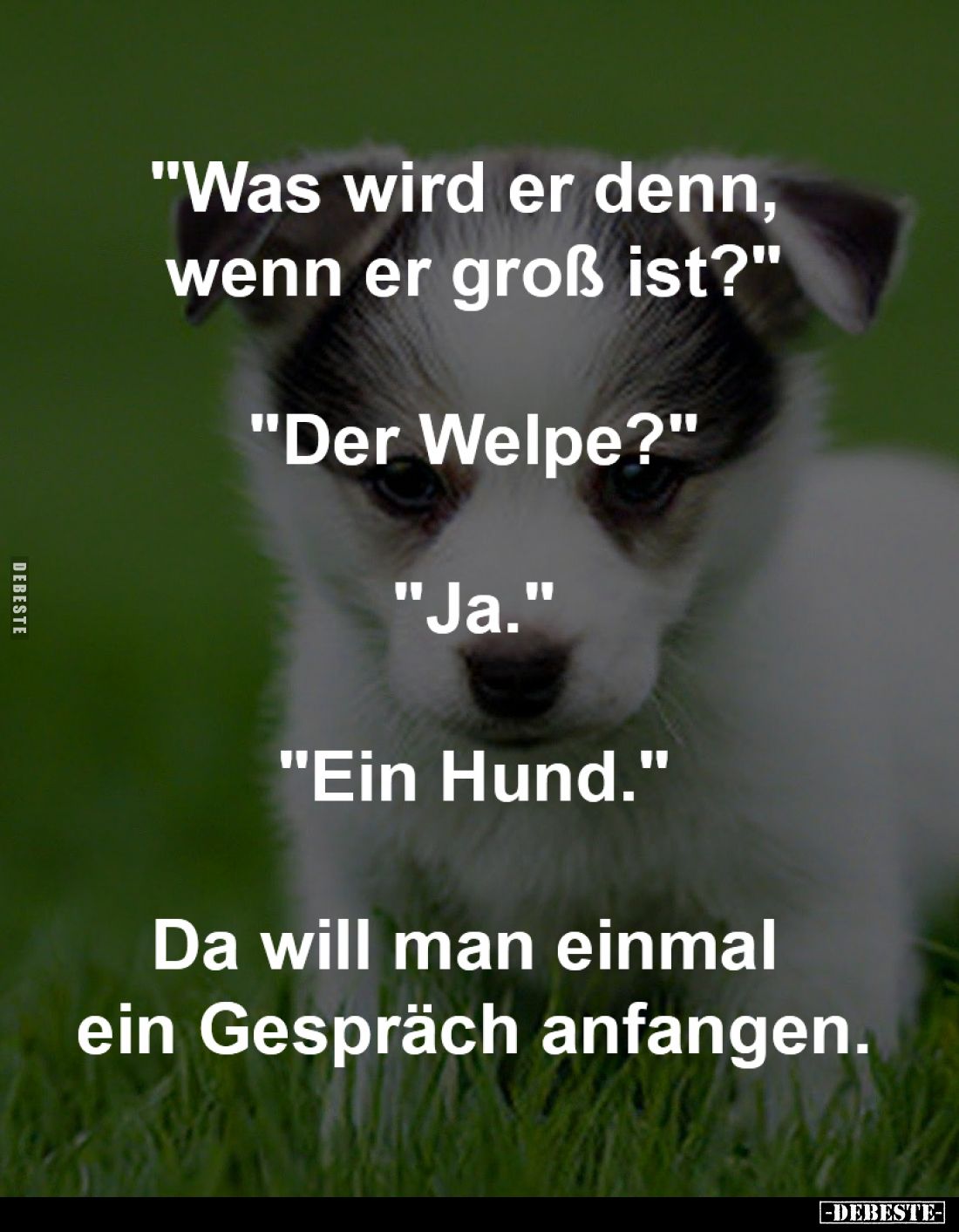 "Was wird er denn, 
wenn er groß ist?"
-
"Der Welpe?"
-
"Ja."
-
"Ein Hund."
-...