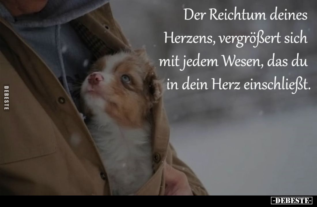 Der Reichtum deines Herzens, 
vergrößert sich mit jedem Wesen, 
das du in dein Herz einschließt.