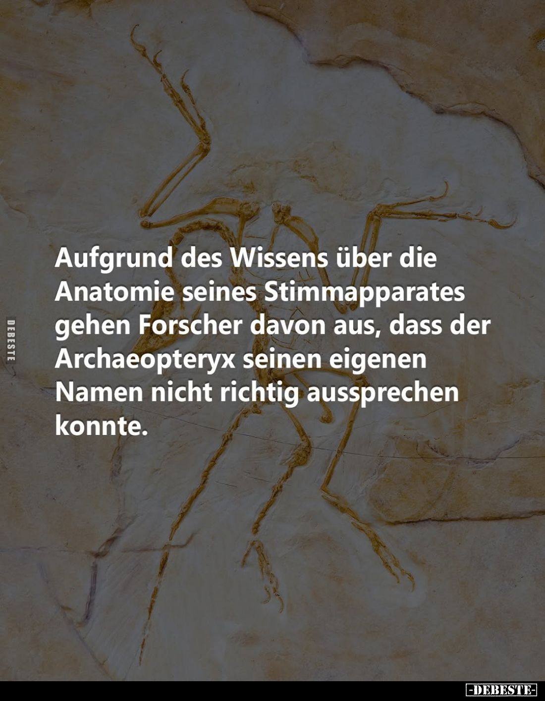 Aufgrund des Wissens über die Anatomie seines Stimmapparates gehen Forscher davon aus, dass der Archaeopteryx seinen eigenen ...