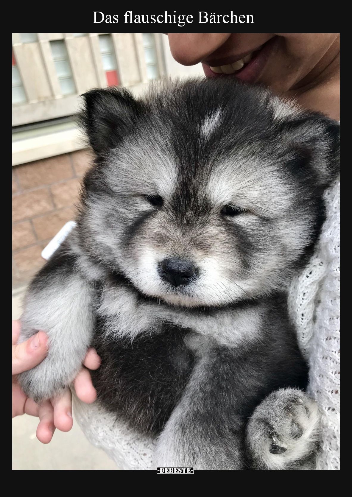 Das flauschige Bärchen