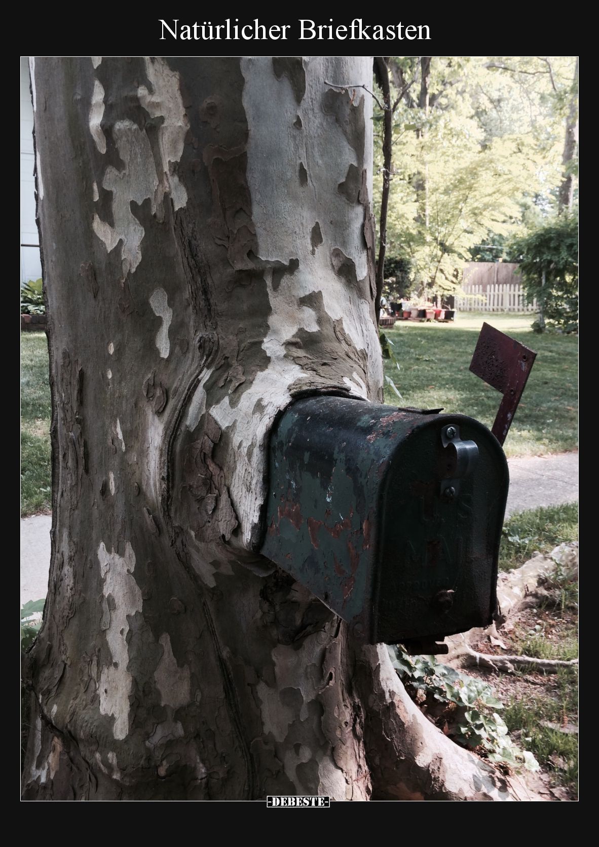 Natürlicher Briefkasten