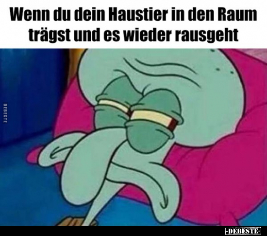 Wenn du dein Haustier in den Raum trägst und es wieder..