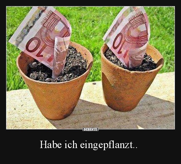 Habe ich eingepflanzt..