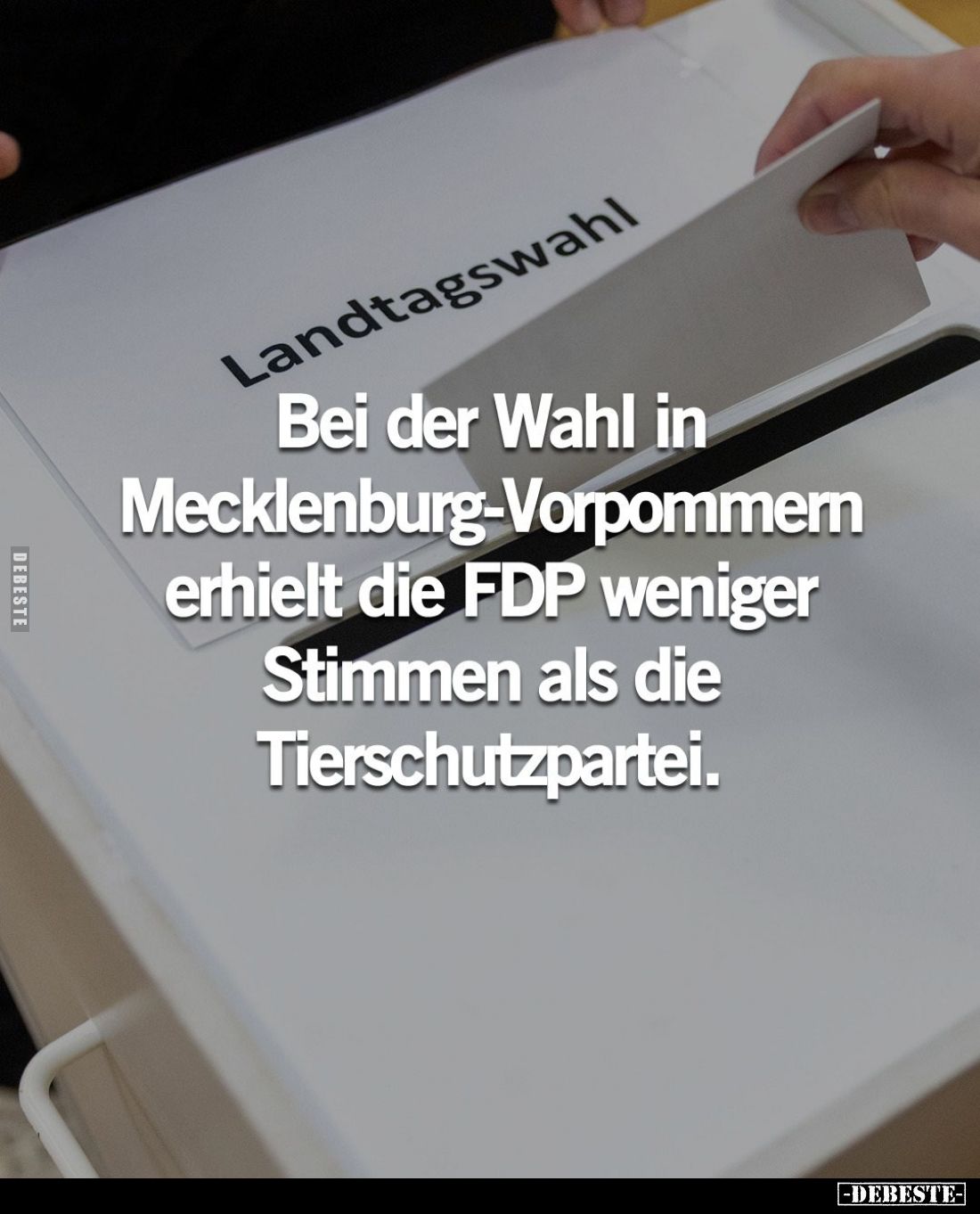 Bei der Wahl in Mecklenburg-Vorpommemn erhielt die FDP weniger Stimmen als die Tierschutzpartei.