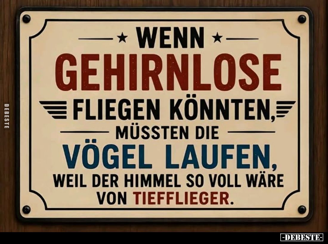 Wenn Gehirnlose fliegen könnten, müssten die Vögel laufen, weil der Himmel so voll wäre von Tiefflieger.