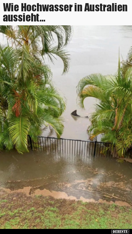 Wie Hochwasser in Australien aussieht... - Lustige Bilder | DEBESTE.de