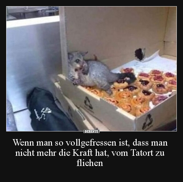 Wenn man so vollgefressen ist, dass man nicht mehr die.. - Lustige Bilder | DEBESTE.de