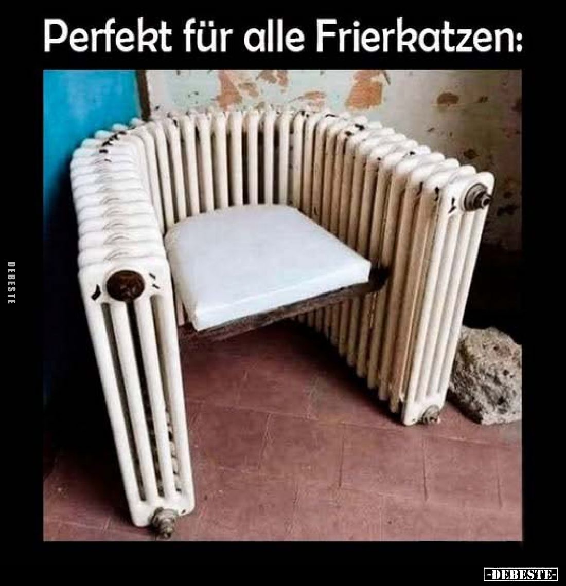 Perfekt für alle Frierkatzen.. - Lustige Bilder | DEBESTE.de