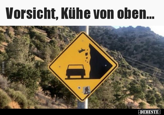 Vorsicht, Kühe von oben... - Lustige Bilder | DEBESTE.de