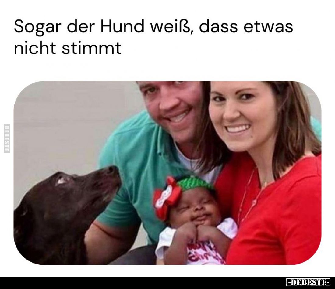 Sogar der Hund weiß, dass etwas nicht stimmt