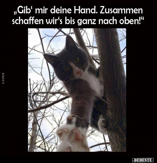 "Gib" mir deine Hand. Zusammen schaffen wir's bis ganz nach.. - Lustige Bilder | DEBESTE.de