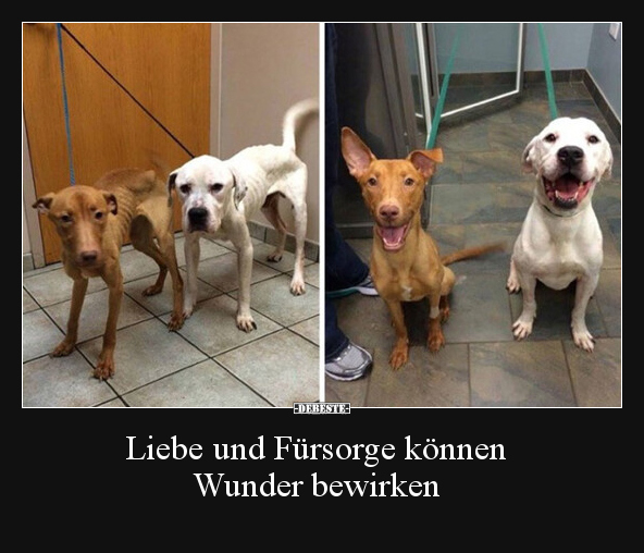 Liebe und Fürsorge können Wunder bewirken