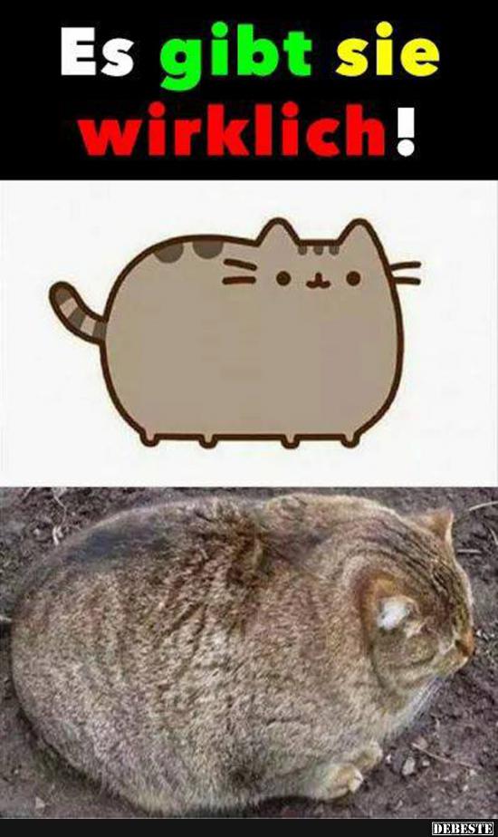 Es gibt sie wirklich!