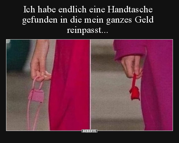 Ich habe endlich eine Handtasche gefunden in die mein..
