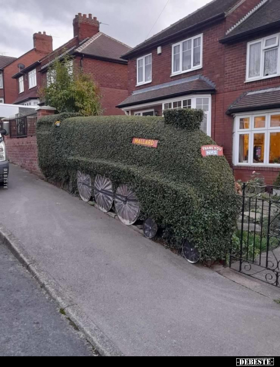  - Lustige Bilder | DEBESTE.de