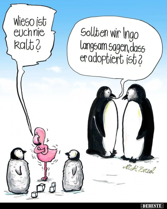 Wieso ist euchnie kalt?.. - Lustige Bilder | DEBESTE.de
