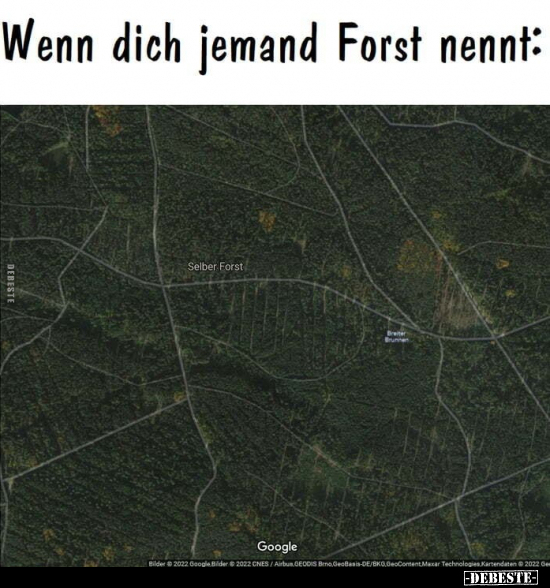 Wenn dich jemand Forst nennt:
