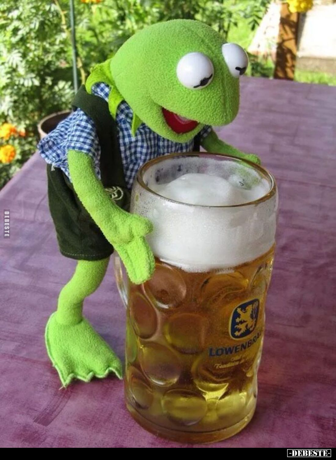  - Lustige Bilder | DEBESTE.de