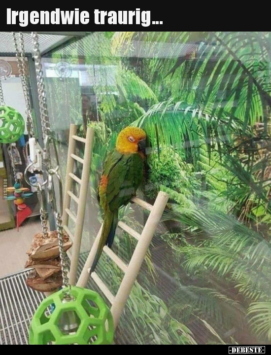 Irgendwie traurig...