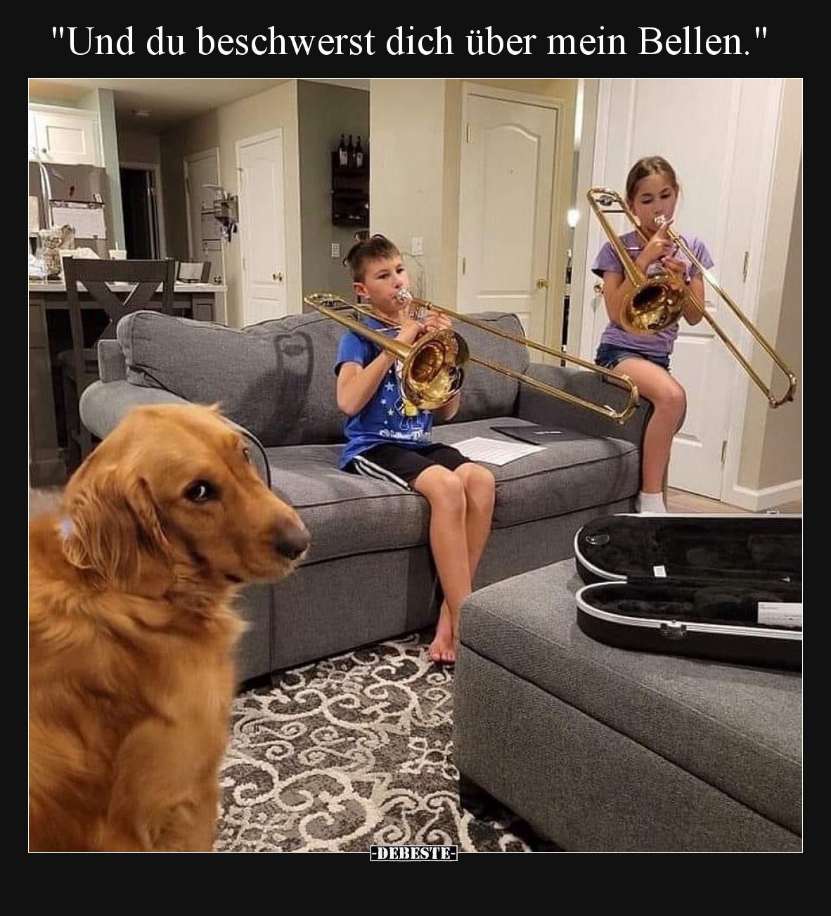 Und du beschwerst dich über mein Bellen.