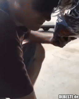 In Australien wurde eine neue Art entdeckt..