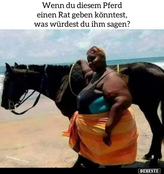 Wenn du diesem Pferd einen Rat geben könntest, was würdest.. - Lustige Bilder | DEBESTE.de