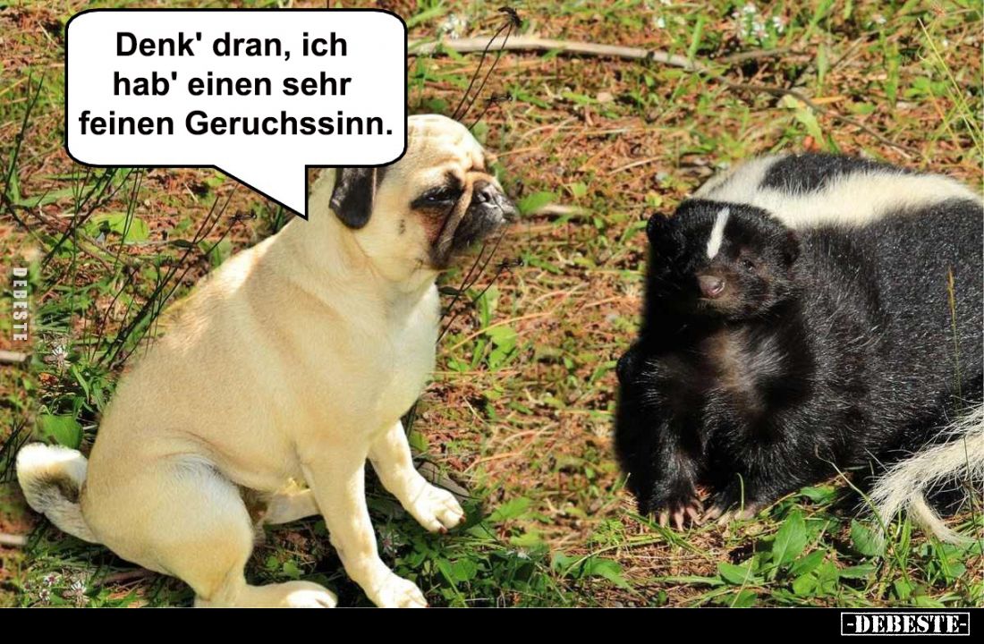 Denk' dran, ich hab' einen 
sehr feinen Geruchssinn.