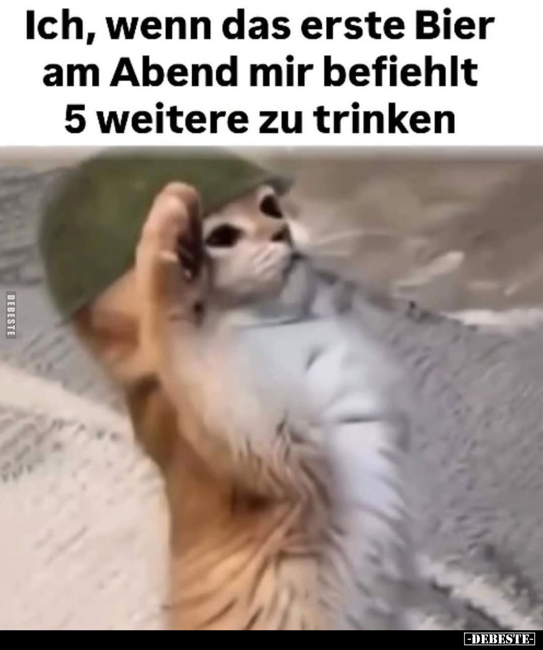 Ich, wenn das erste Bier am Abend mir befiehlt 5 weitere zu trinken.