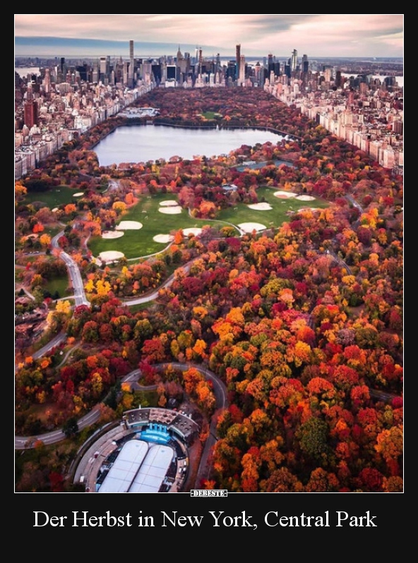 Der Herbst in New York, Central Park.. - Lustige Bilder | DEBESTE.de