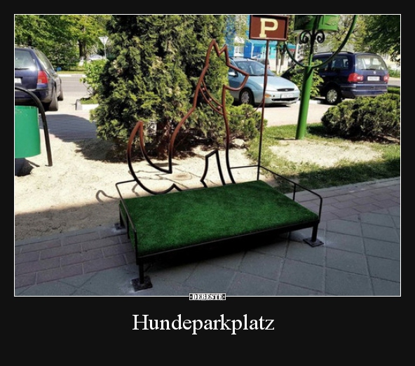 Hundeparkplatz.. - Lustige Bilder | DEBESTE.de