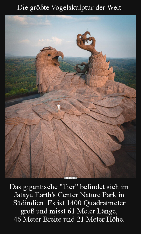 Die größte Vogelskulptur der Welt.. - Lustige Bilder | DEBESTE.de