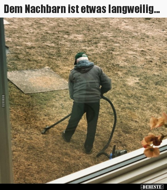 Dem Nachbarn ist etwas langweilig...